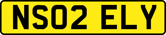 NS02ELY