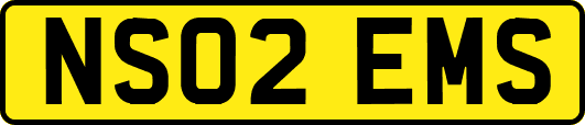 NS02EMS