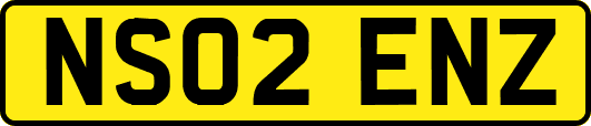 NS02ENZ