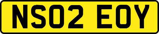 NS02EOY