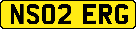 NS02ERG