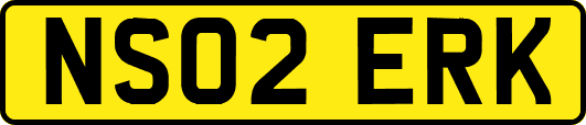 NS02ERK