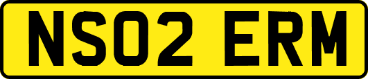 NS02ERM