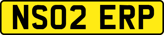 NS02ERP