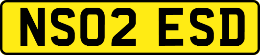 NS02ESD