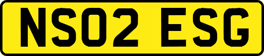NS02ESG