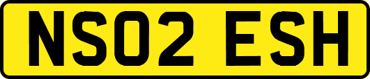 NS02ESH