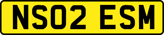 NS02ESM