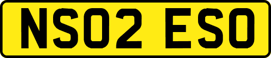 NS02ESO