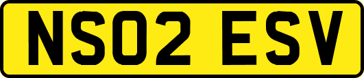 NS02ESV