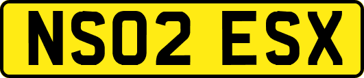 NS02ESX