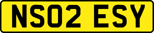 NS02ESY