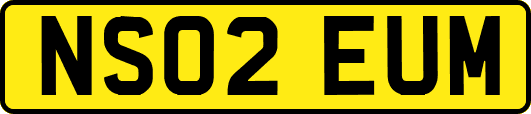 NS02EUM