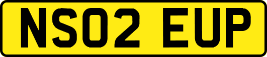 NS02EUP