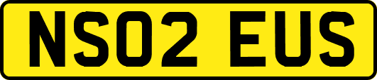 NS02EUS