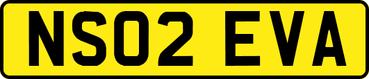 NS02EVA