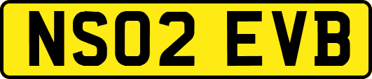NS02EVB