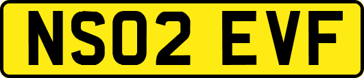 NS02EVF