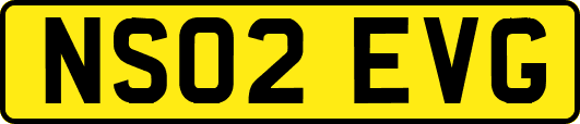 NS02EVG