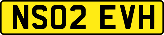 NS02EVH