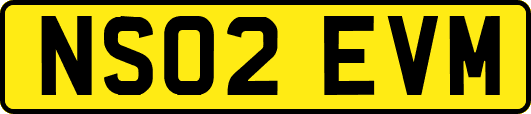 NS02EVM