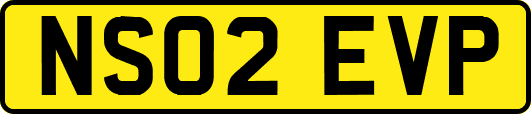 NS02EVP