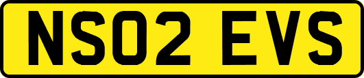 NS02EVS