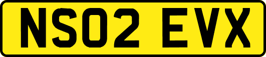 NS02EVX