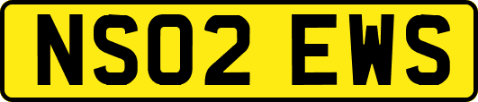 NS02EWS