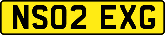 NS02EXG