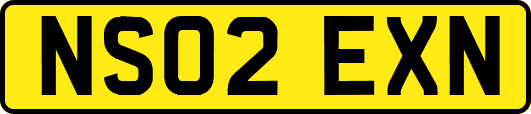 NS02EXN