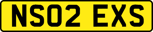 NS02EXS
