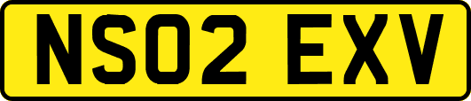 NS02EXV