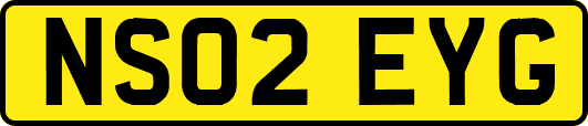 NS02EYG