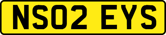 NS02EYS