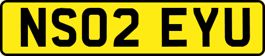 NS02EYU