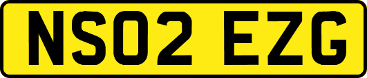 NS02EZG