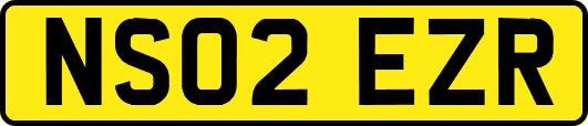 NS02EZR