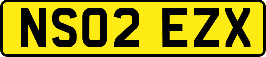 NS02EZX