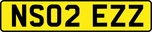 NS02EZZ