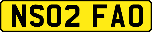 NS02FAO