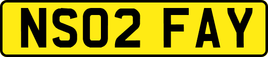NS02FAY