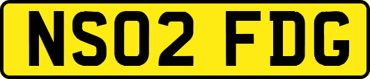 NS02FDG