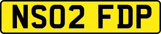 NS02FDP
