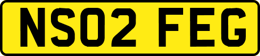 NS02FEG