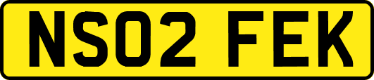 NS02FEK