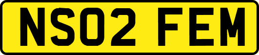 NS02FEM