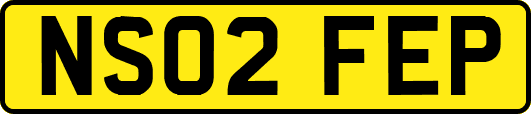 NS02FEP