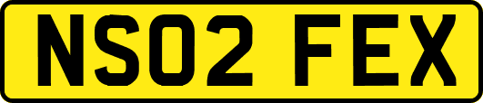 NS02FEX