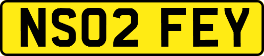 NS02FEY